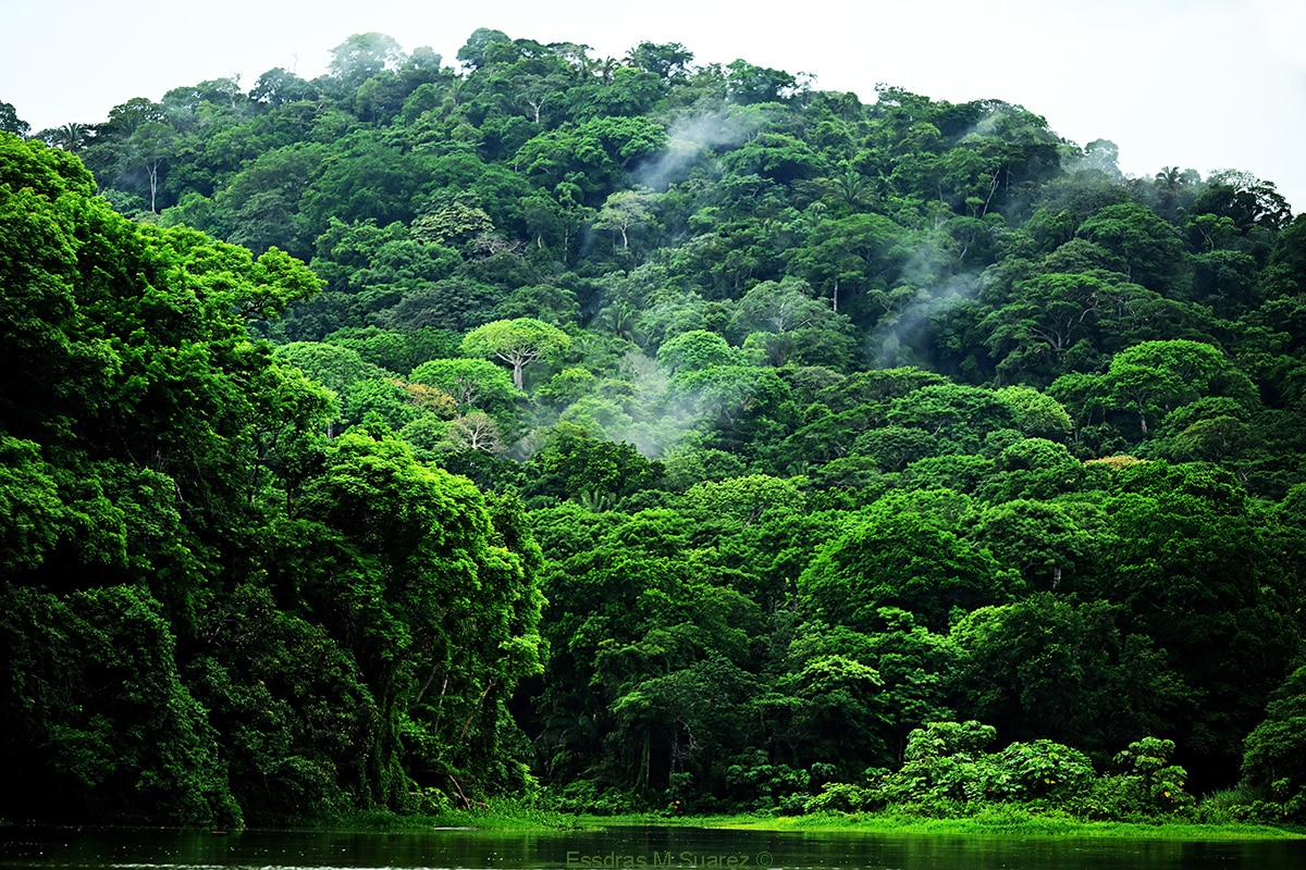 Gamboa, Colon 061924.   Boat ride to Monkey Island (scouting for tourist packages). 

Contact: Armodia Medbache: + 5076637 9503

Cpt: Jose Luis. 

Present: Sara Suarez and Efrain Rociar. ( Essdras M Suarez)